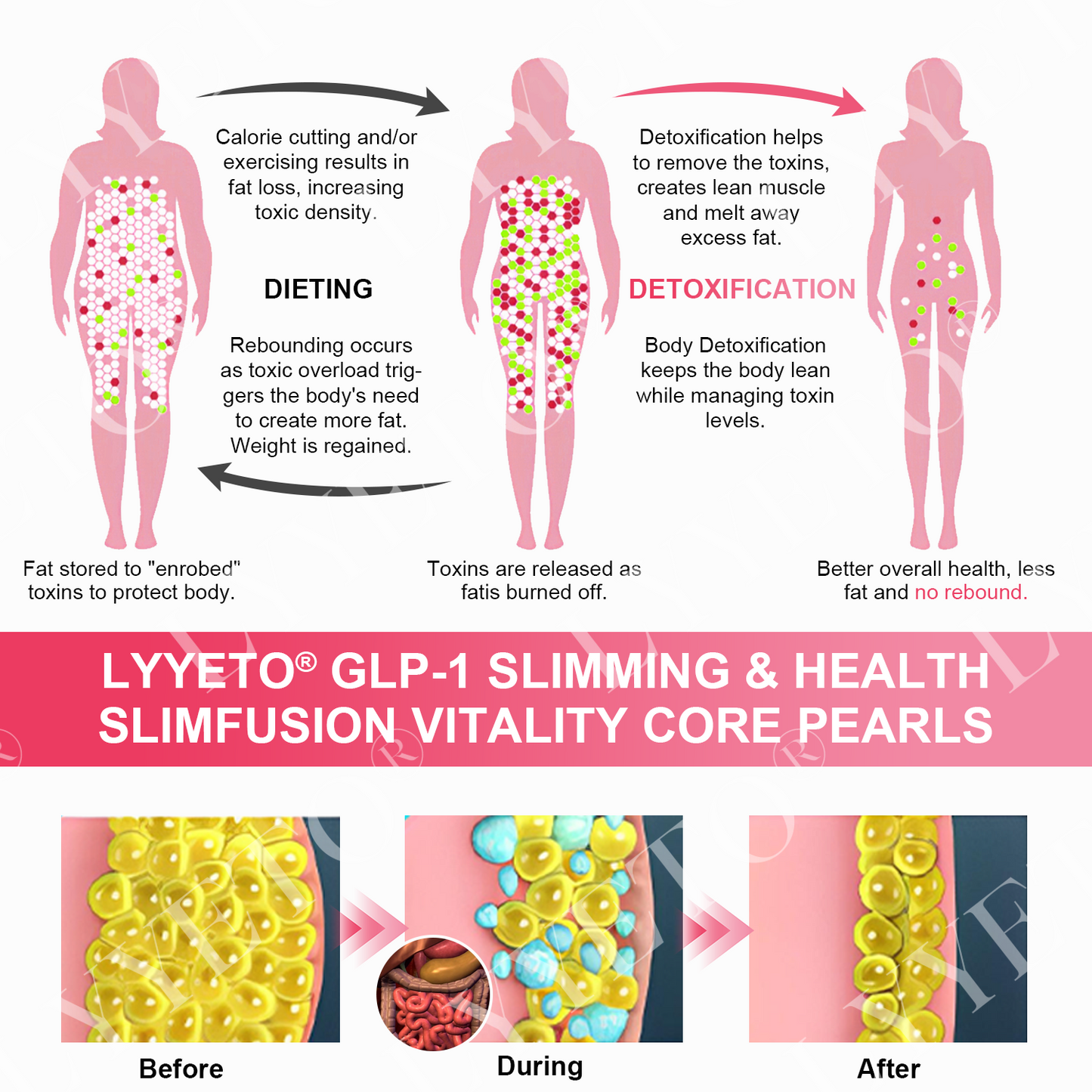 Lyyeto® GLP-1 Slimming & Health SlimDeto Vitality Core Pearls - NAD+ Moringa & ACV 1