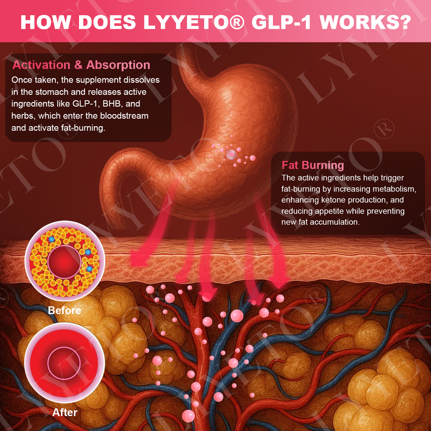 Lyyeto® GLP-1 Slimming & Health SlimDeto Vitality Core Pearls - NAD+ Moringa & ACV 1