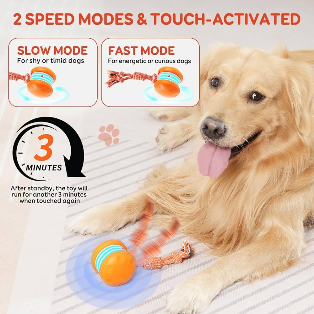 🎁Now 50% OFF! CZTICLE® 🐾  Dog Toy – Relaxed, Happy Pets All Day!