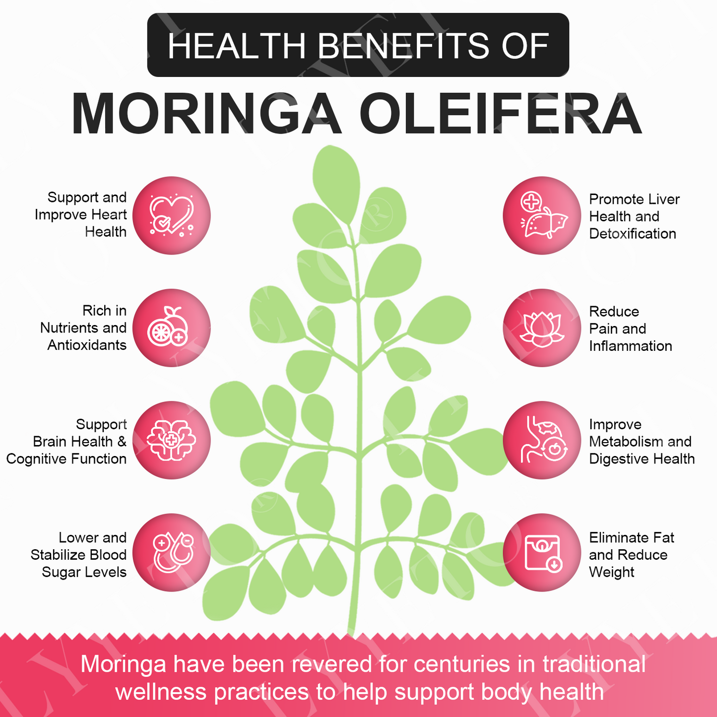 Lyyeto® GLP-1 Slimming & Health SlimDeto Vitality Core Pearls - NAD+ Moringa & ACV 1