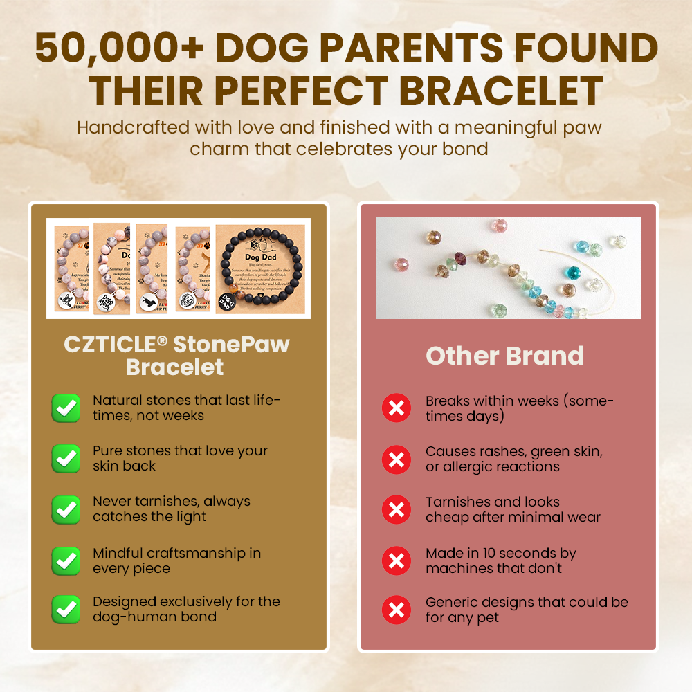 CZTICLE® StonePaw Bracelet